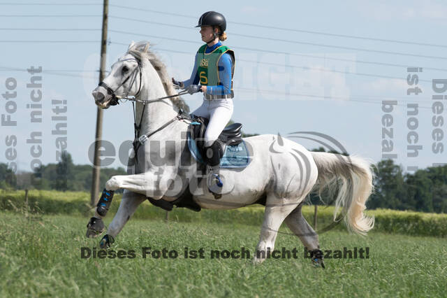 Vielseitigkeitsturnier ZRuFV von Lützow Hamminkeln