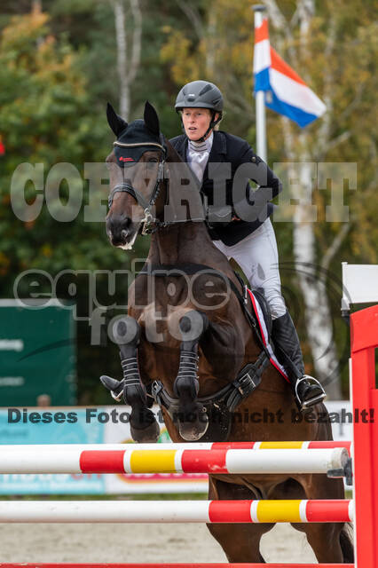 Deutsche Meisterschaft Vielseitigkeit (Luhmühlen)