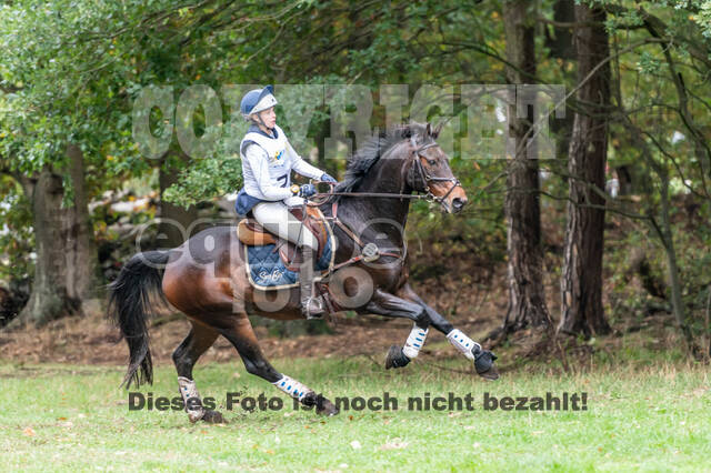 Vielseitigkeit RSV Wesel Obrighoven (26.+27.09.2020)