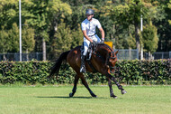Kronenberg - De Peelbergen (August 2020)