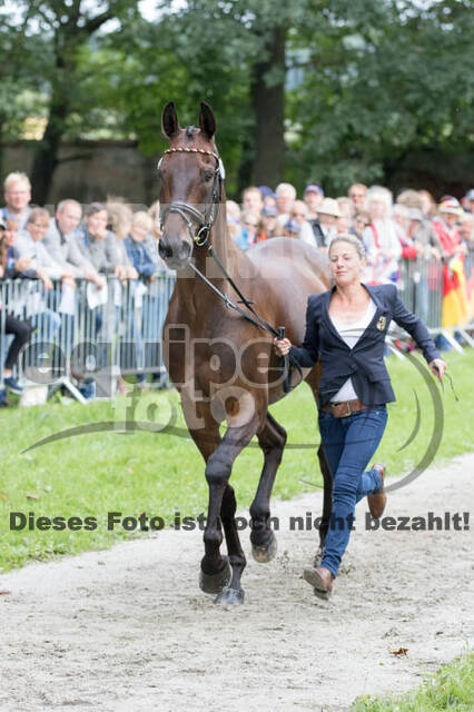 FEI European Championship Eventing 2017