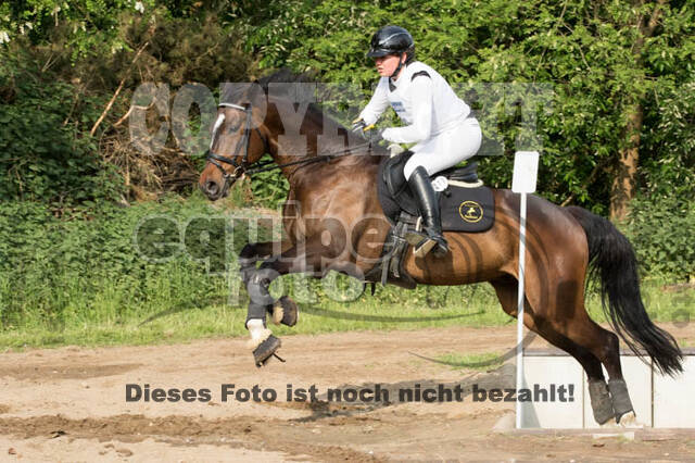 Vielseitigkeitsturnier ZRFV von Lützow Hamminkeln