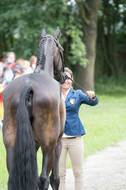 FEI European Championship