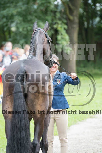 FEI European Championship