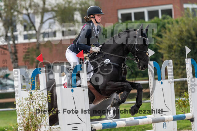 Goldene Schärpe 2020 - Pferde