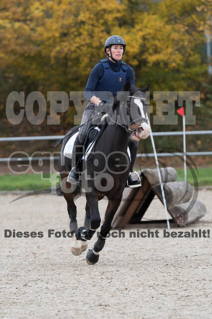 IGV Lehrgang der Sieger der Cups mit Frank Ostholt