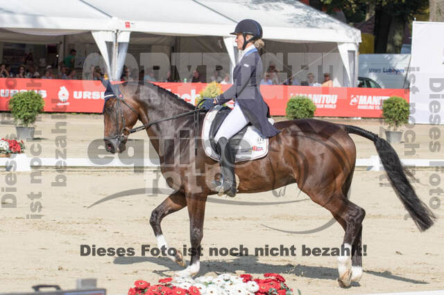 FEI European Championship Eventing 2017