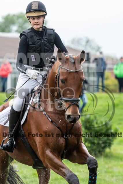 Goldene Schärpe 2020 - Pferde