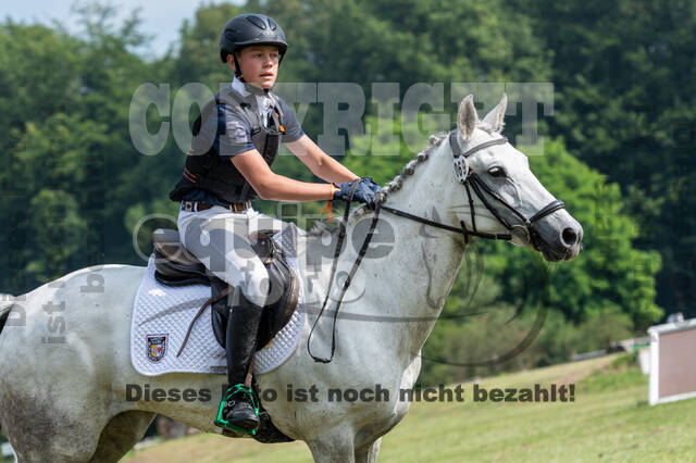 Goldene Schärpe 2021 - Ponys