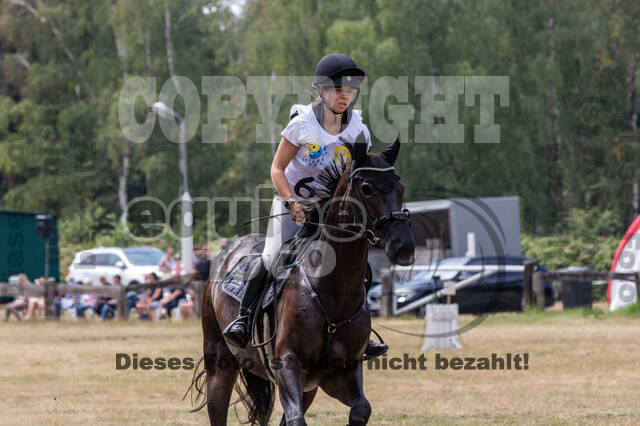 Late-Entry Vielseitigkeit Hamminkeln/Wesel (01.+02.08.2020)