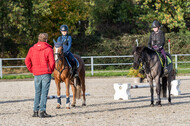 IGV Lehrgang der Sieger der Cups mit Frank Ostholt