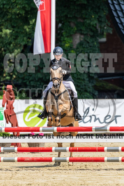 Goldene Schärpe 2021 - Ponys