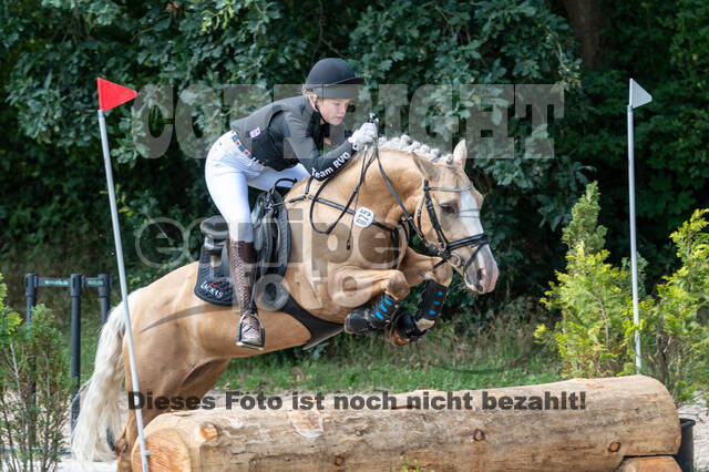 Late-Entry-Vielseitigkeit Langenfeld (06.+07.07.2020)