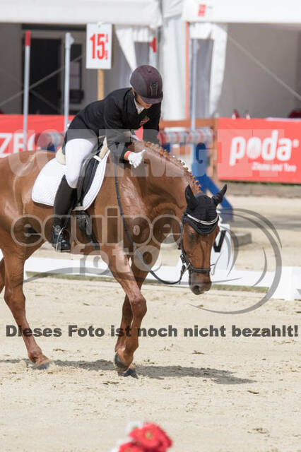 FEI European Championship Eventing 2017