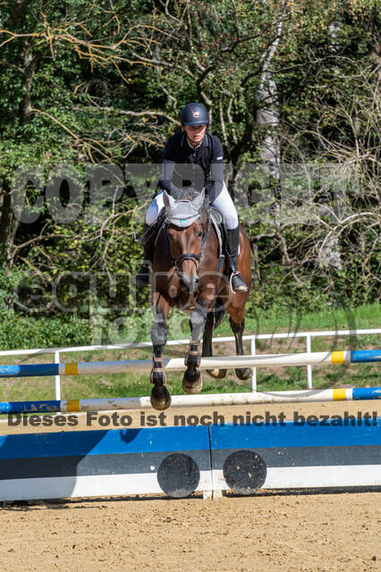 RFV Dinslaken-Hiesfeld (Herbstturnier)