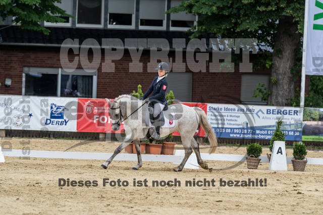 Goldene Schärpe 2021 - Ponys
