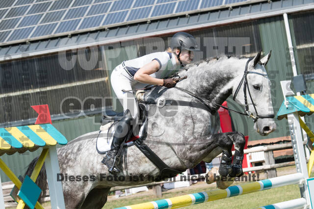Vielseitigkeitsturnier ZRuFV von Lützow Hamminkeln