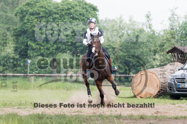 Vielseitigkeitsturnier ZRFV von Lützow Hamminkeln