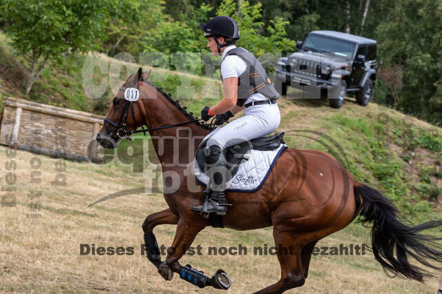 Late-Entry Vielseitigkeit Hamminkeln/Wesel (01.+02.08.2020)