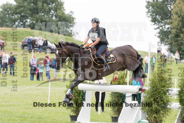 FEI European Championship