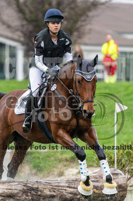 Goldene Schärpe 2020 - Pferde