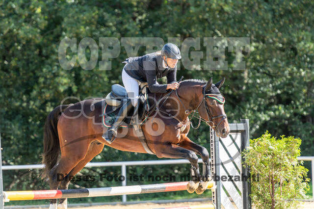 RFV Dinslaken-Hiesfeld (Herbstturnier)