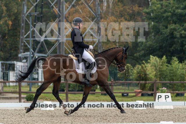 Deutsche Meisterschaft Vielseitigkeit (Luhmühlen)