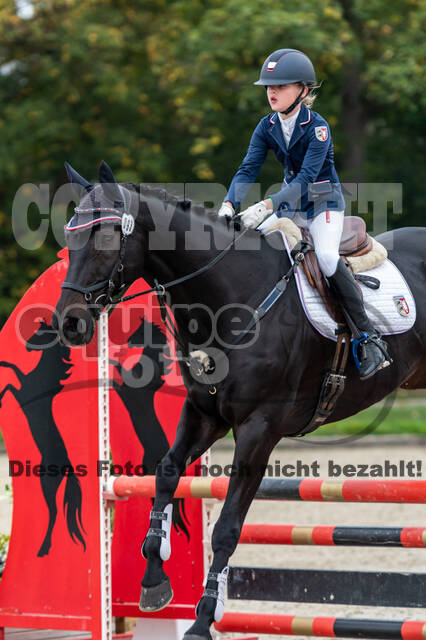 Reiter Schleswig-Holstein