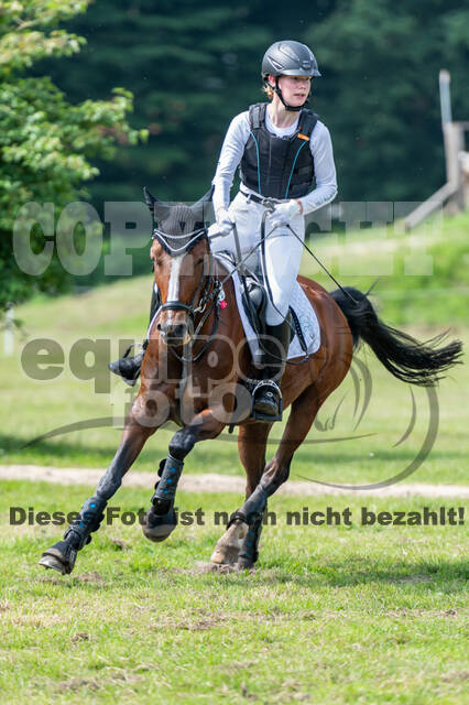 Goldene Schärpe 2021 - Ponys