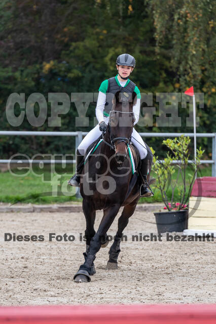 Goldene Schärpe 2020 - Pferde