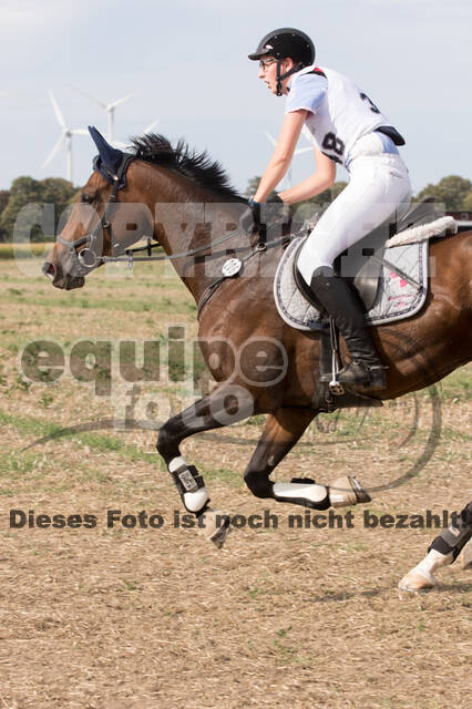 IGV Kleve - Vielseitigkeitsturnier