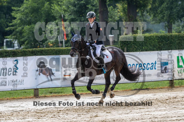 Goldene Schärpe 2021 - Ponys