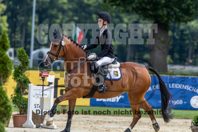 Goldene Schärpe 2021 - Ponys