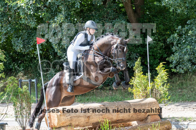 Late-Entry-Vielseitigkeit Langenfeld (06.+07.07.2020)