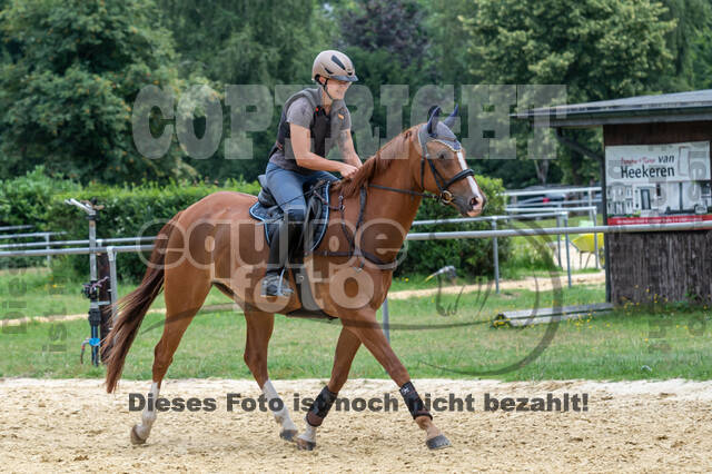 Hunter Geländetraining 10.07.2021 (Sonsbeck)