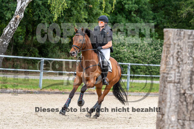 Late-Entry-Vielseitigkeit Langenfeld (11.+13./14.06.2020)