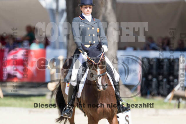 FEI European Championship Eventing 2017