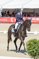 FEI European Championship