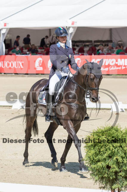 FEI European Championship