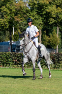 Kronenberg - De Peelbergen (August 2020)