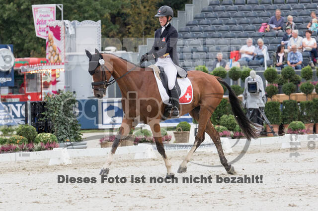 FEI European Championship Eventing 2019