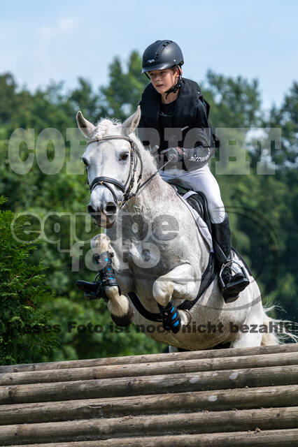 Goldene Schärpe 2021 - Ponys