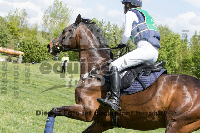 Sterne über Münster 2019 - CCI***S
