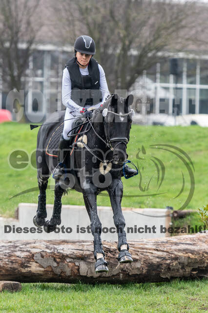 Goldene Schärpe 2020 - Pferde