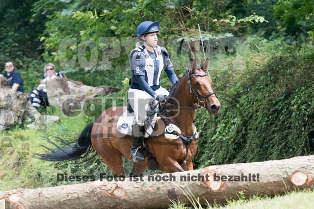 Vielseitigkeitsturnier RFV Bad Honnef