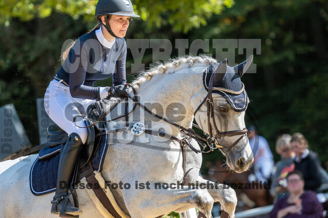 RFV Dinslaken-Hiesfeld (Herbstturnier)