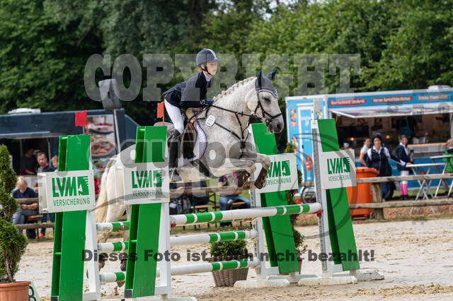 Goldene Schärpe 2021 - Ponys