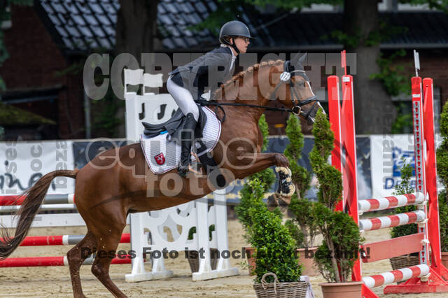 Goldene Schärpe 2021 - Ponys