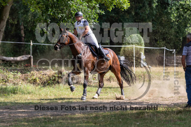Late-Entry Vielseitigkeit Hamminkeln/Wesel (01.+02.08.2020)