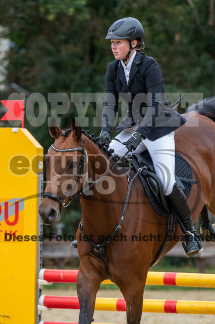 Vielseitigkeit RSV Wesel Obrighoven (26.+27.09.2020)